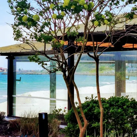 Apartman Oasis Vip Club - Boutique On The Beach Itself Napospart